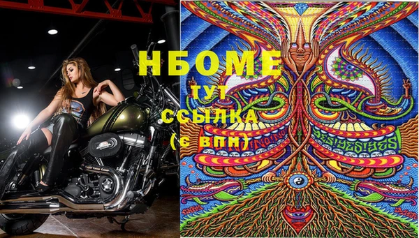 Альфа ПВП Аркадак