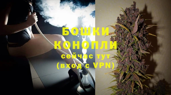 Альфа ПВП Аркадак